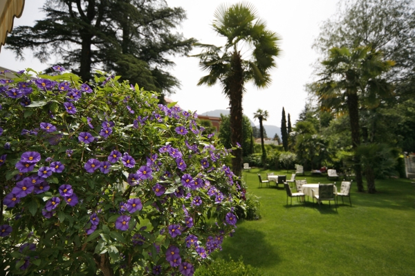 Hotel Palma